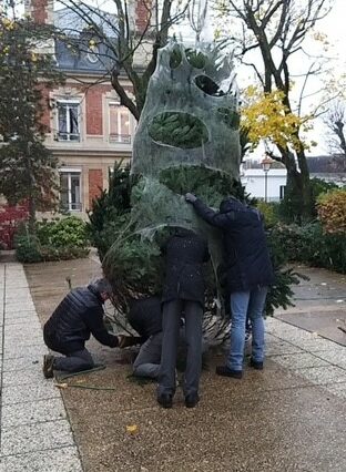 sapin en place